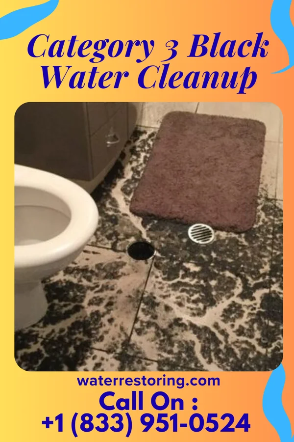 Category 3 Black Water Cleanup in Canton, MS
