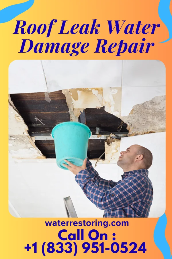 Roof Leak Water Damage Repair in Canton, MS