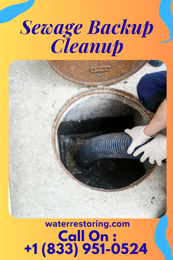 Sewage Backup Cleanup in Canton, MS