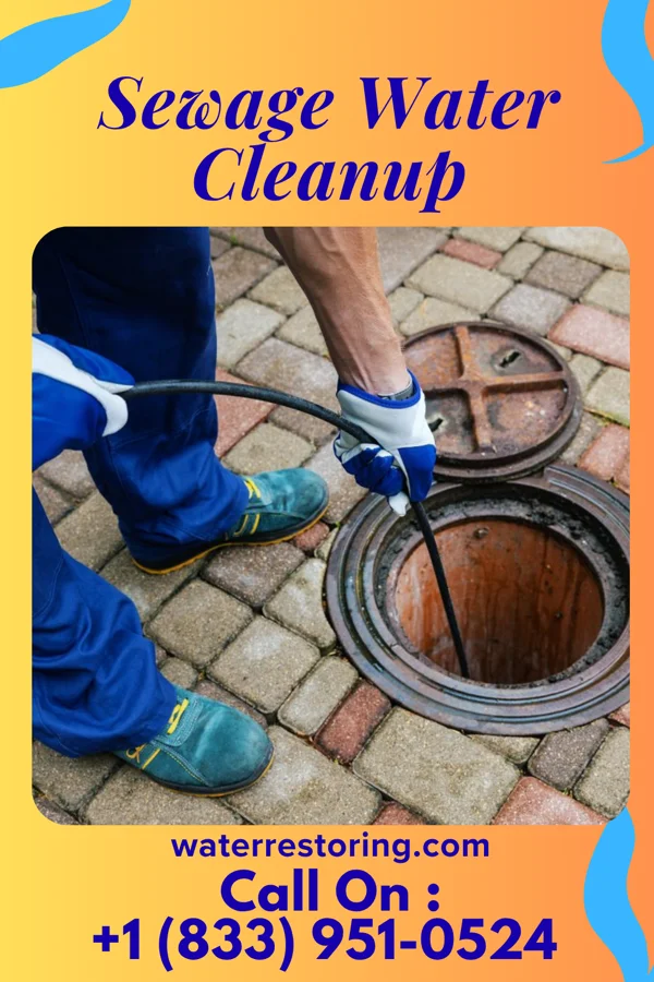 Sewage Water Cleanup in Canton, MS