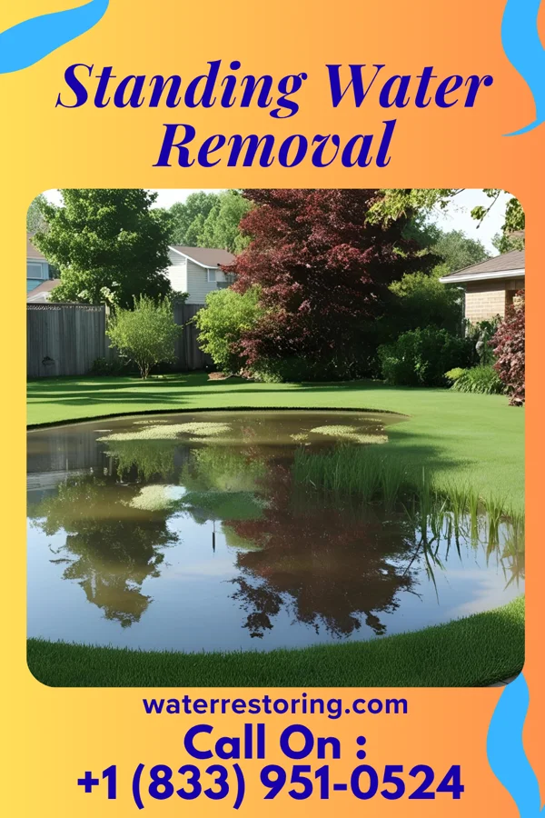 Standing Water Removal in Canton, MS